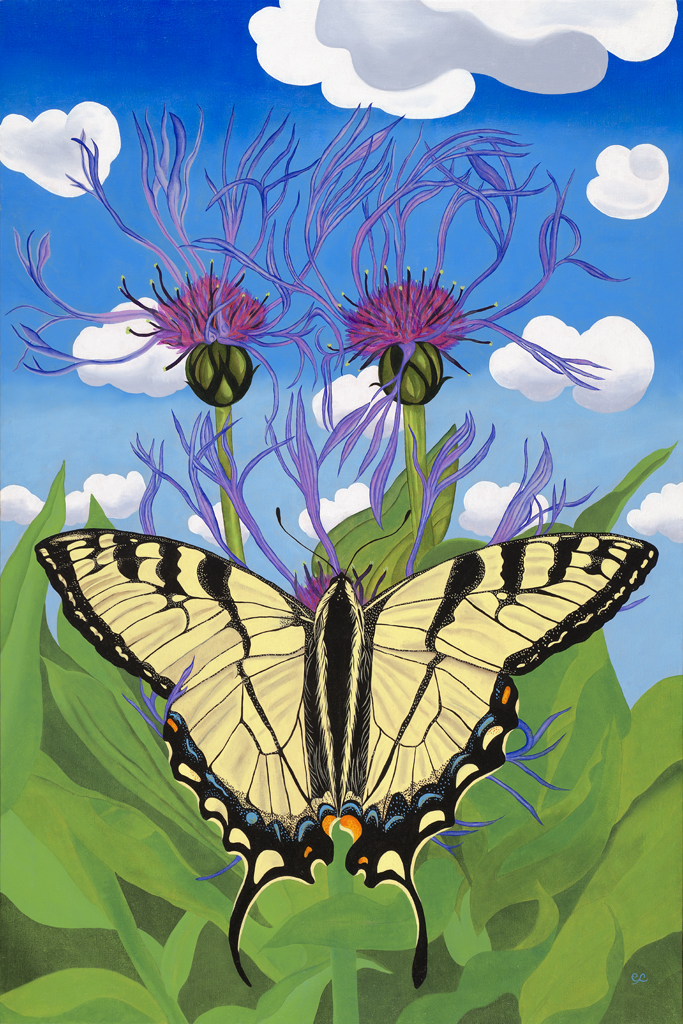 “Swallowtail” – Color Afoot Press