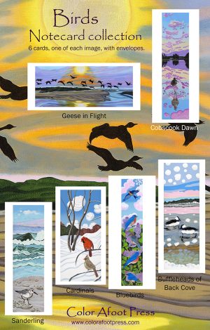 "Birds" notecard collection
